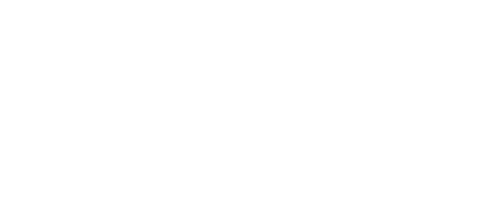 Norwegian Transport Logo 